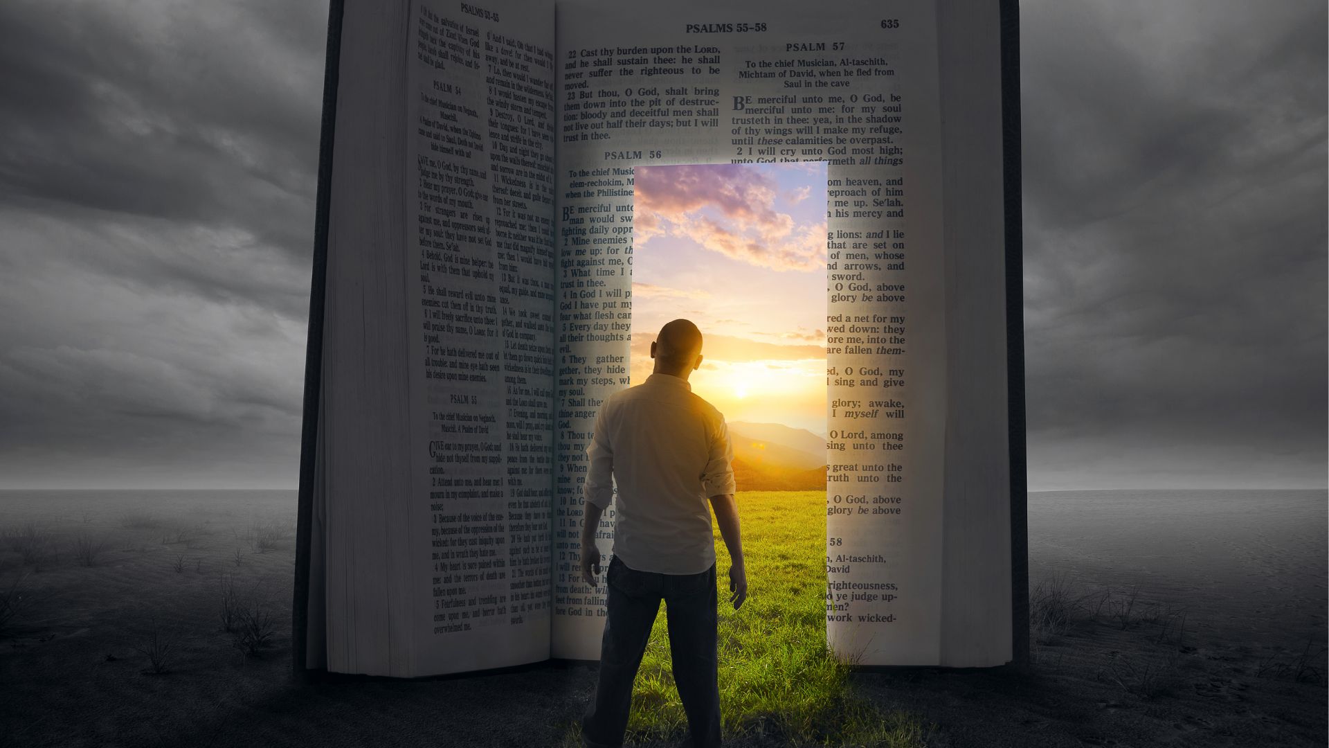 discernimento della Bibbia