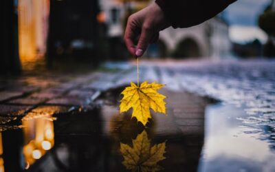 Ha ucciso il suo peccato con l’amore (la vita di John Owen)