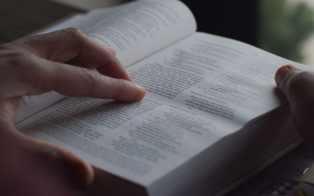 Contemplare Cristo in tutti i 66 libri della Bibbia
