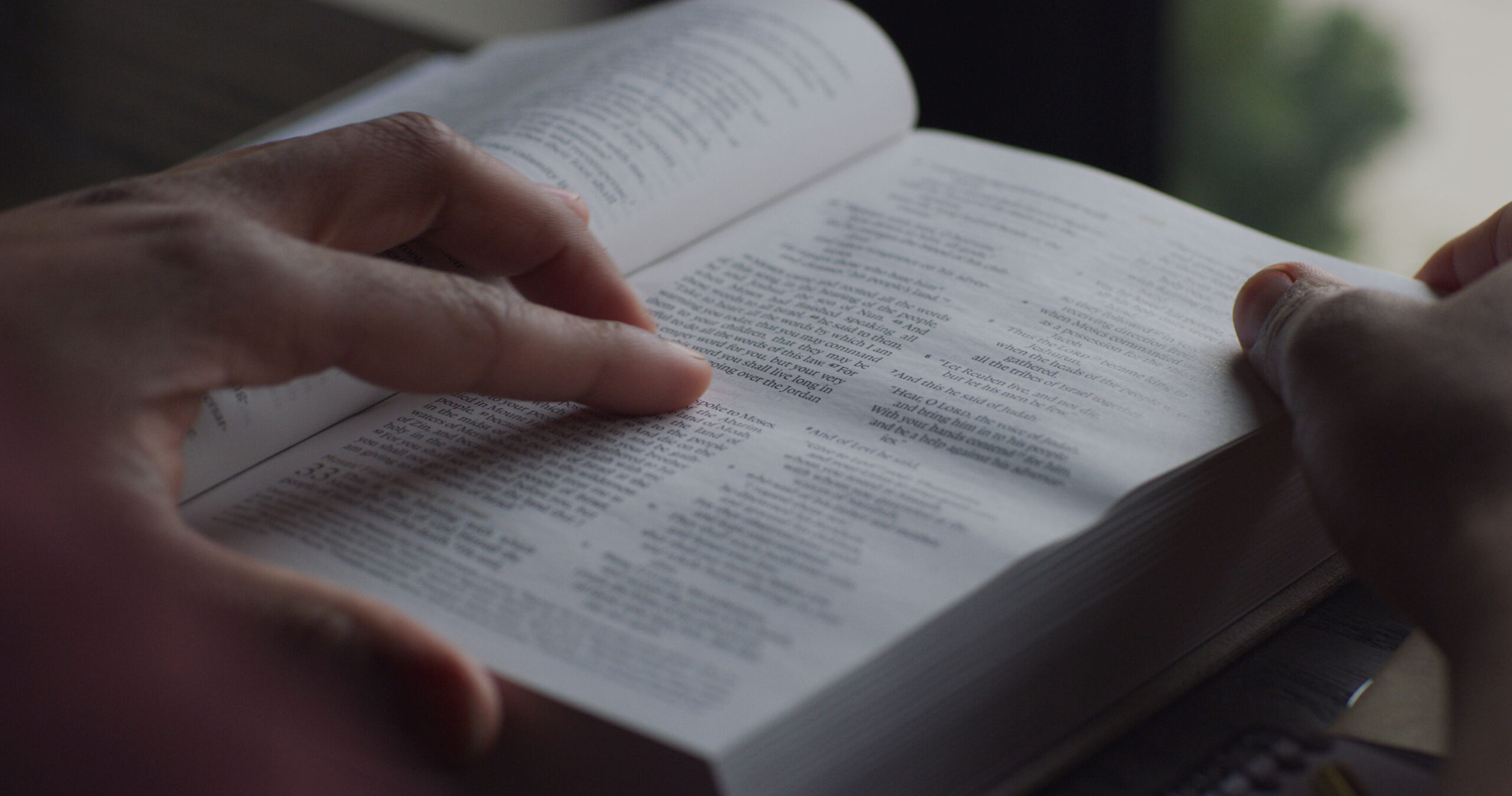 Contemplare Cristo in tutti i 66 libri della Bibbia Contemplare Cristo in tutti i 66 libri della Bibbia