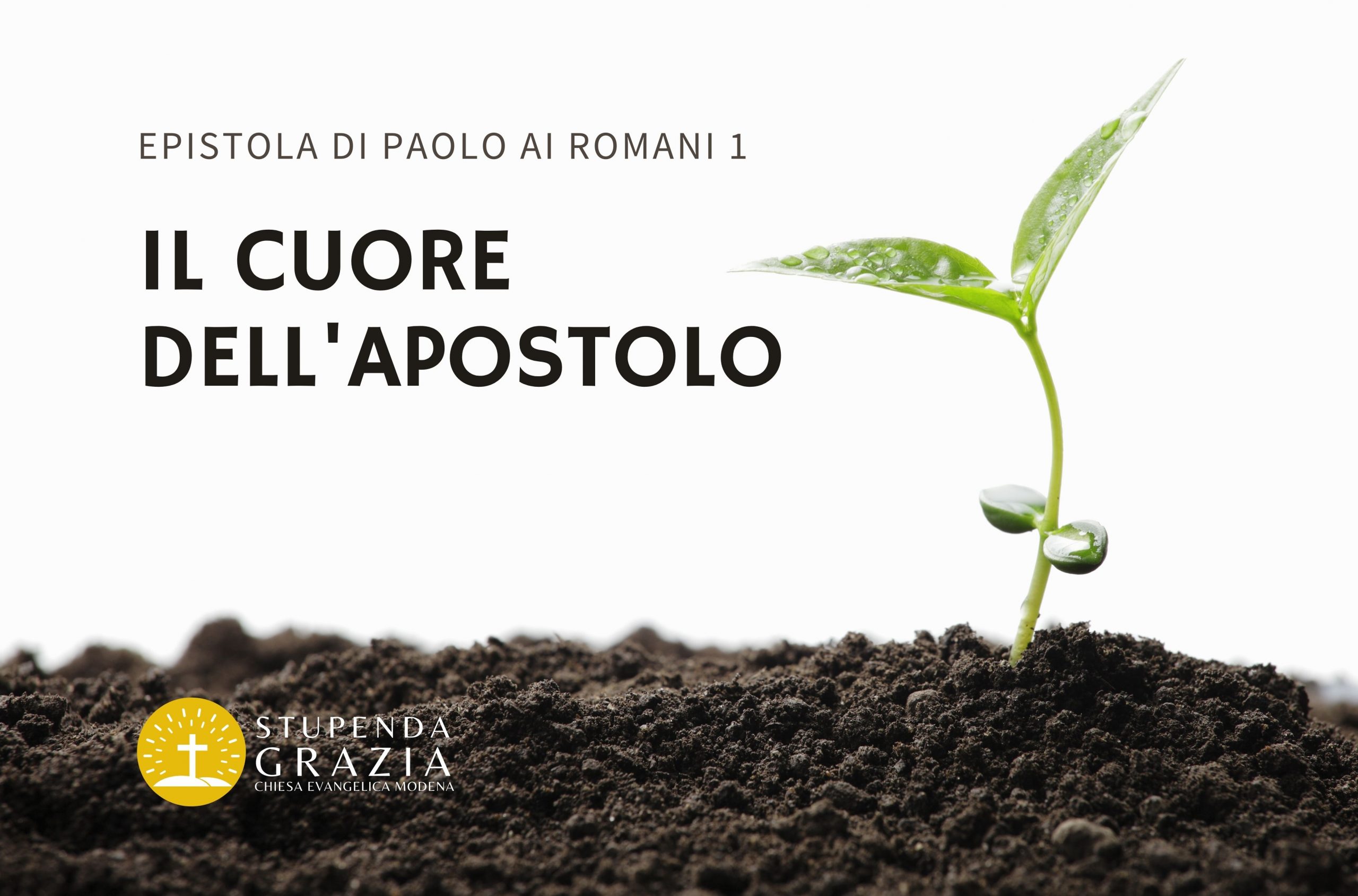 IL CUORE DELL’ APOSTOLO